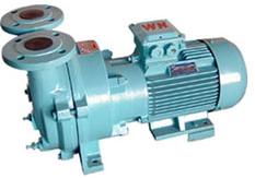 2BV系列水環真空泵